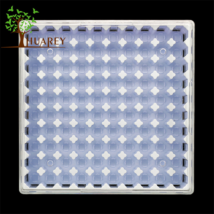 Cryopreservation Box